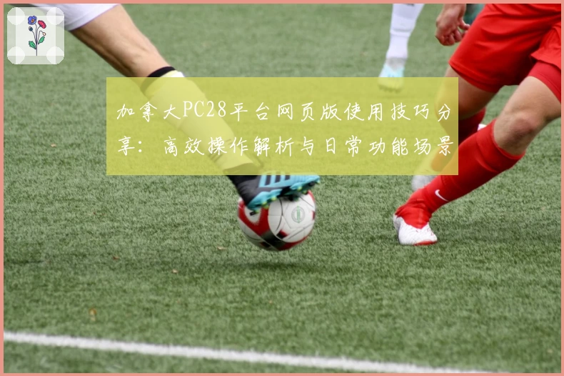 加拿大PC28平台网页版使用技巧分享:高效操作解析与日常功能场景推荐