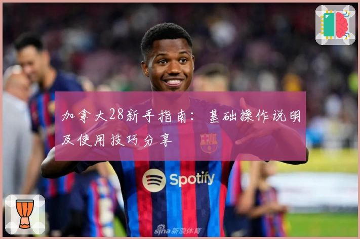 加拿大28新手指南:基础操作说明及使用技巧分享