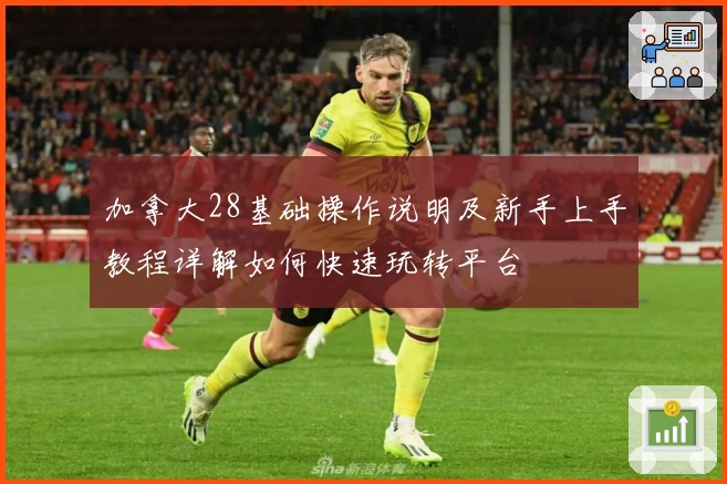 加拿大28基础操作说明及新手上手教程详解如何快速玩转平台