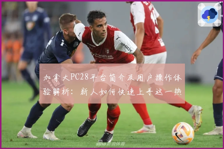 加拿大PC28平台简介及用户操作体验解析：新人如何快速上手这一热门游戏玩法
