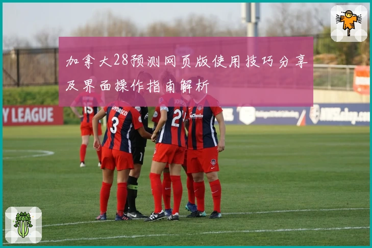 加拿大28预测网页版使用技巧分享及界面操作指南解析