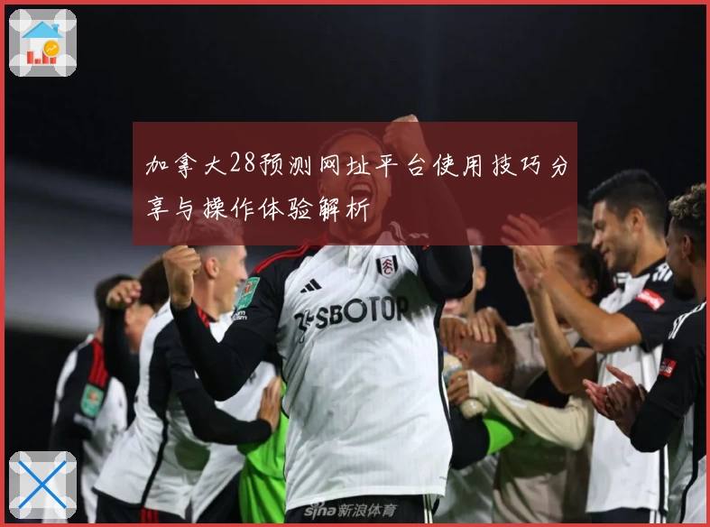 加拿大28预测网址平台使用技巧分享与操作体验解析