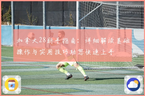 加拿大28新手指南：详细解读基础操作与实用技巧助您快速上手