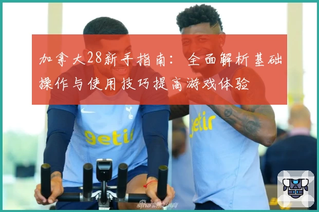 加拿大28新手指南：全面解析基础操作与使用技巧提高游戏体验