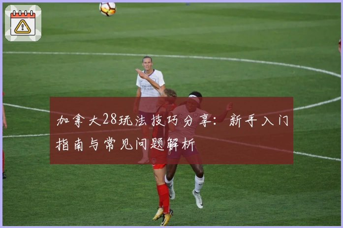 加拿大28玩法技巧分享：新手入门指南与常见问题解析