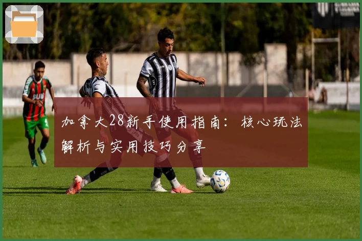 加拿大28新手使用指南：核心玩法解析与实用技巧分享