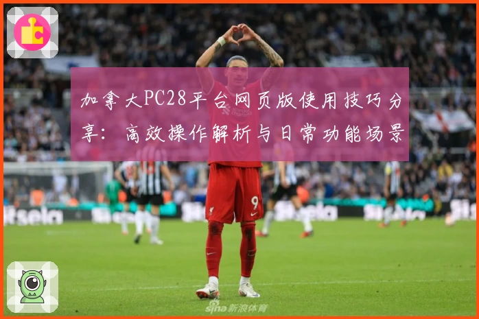 加拿大PC28平台网页版使用技巧分享：高效操作解析与日常功能场景推荐
