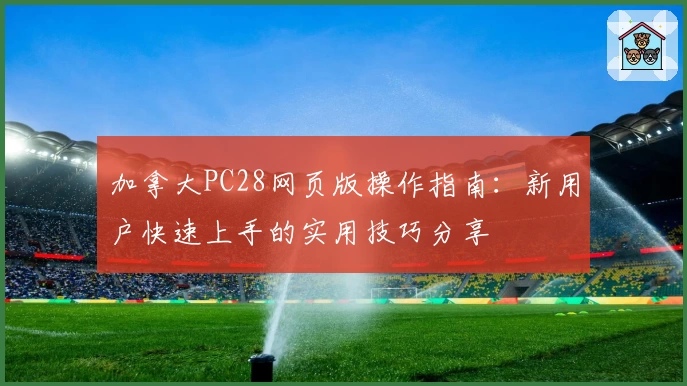 加拿大PC28网页版操作指南：新用户快速上手的实用技巧分享