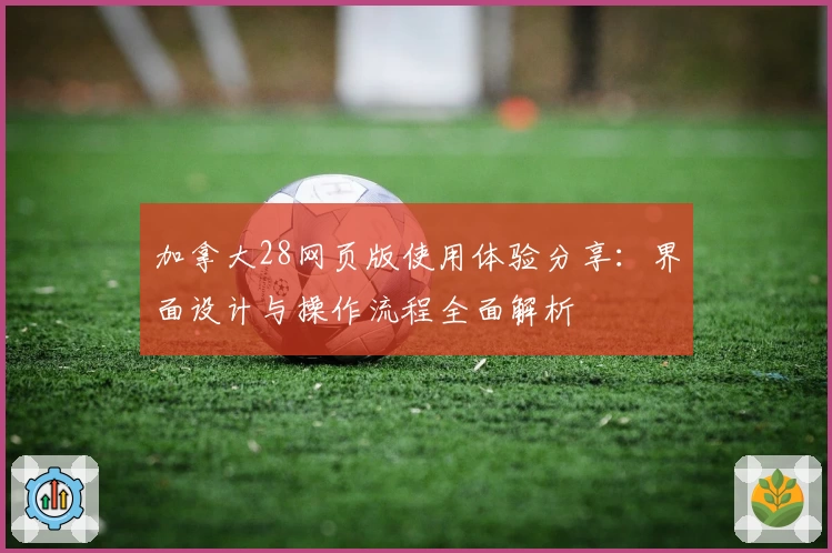 加拿大28网页版使用体验分享：界面设计与操作流程全面解析