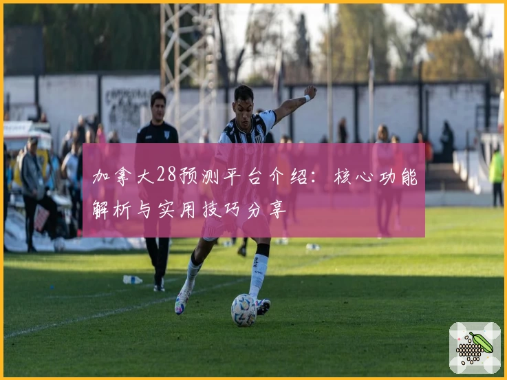 加拿大28预测平台介绍:核心功能解析与实用技巧分享