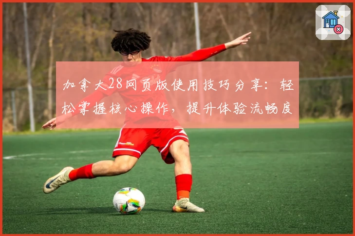 加拿大28网页版使用技巧分享：轻松掌握核心操作，提升体验流畅度