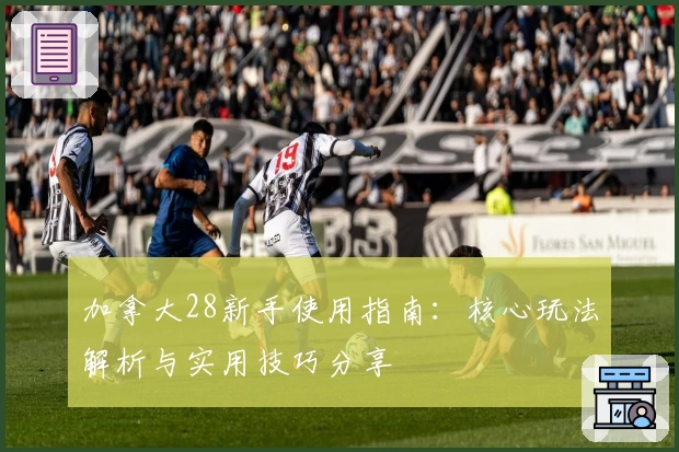 加拿大28新手使用指南：核心玩法解析与实用技巧分享