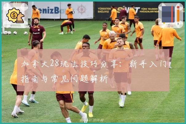 加拿大28玩法技巧分享：新手入门指南与常见问题解析