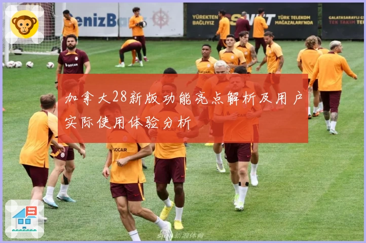 加拿大28新版功能亮点解析及用户实际使用体验分析